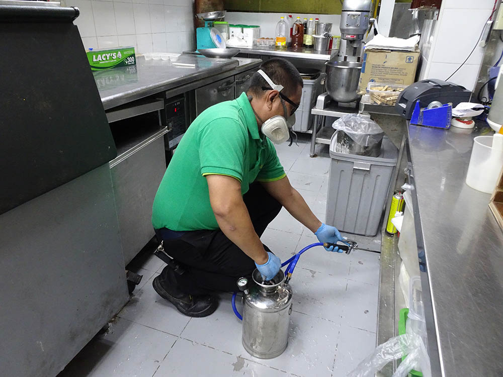 Cockroach pest control spraying commercial kitchen Singapore