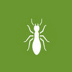 Termite Control