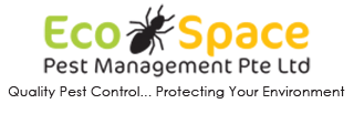 Eco Space Pest Logo