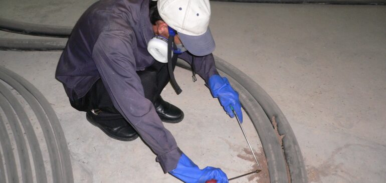 Get Rid Of Termites With Quick Pest Control Solution