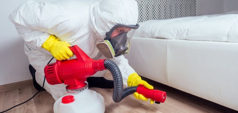 Pest Prevention : The Importance Of Pest Control Services