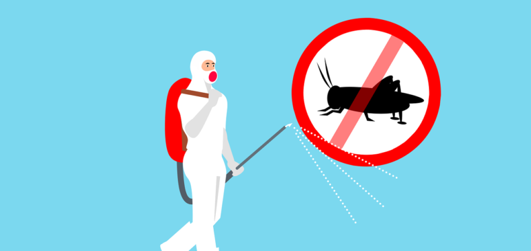 Why & When Do You Need to Call For Pest Control Services?