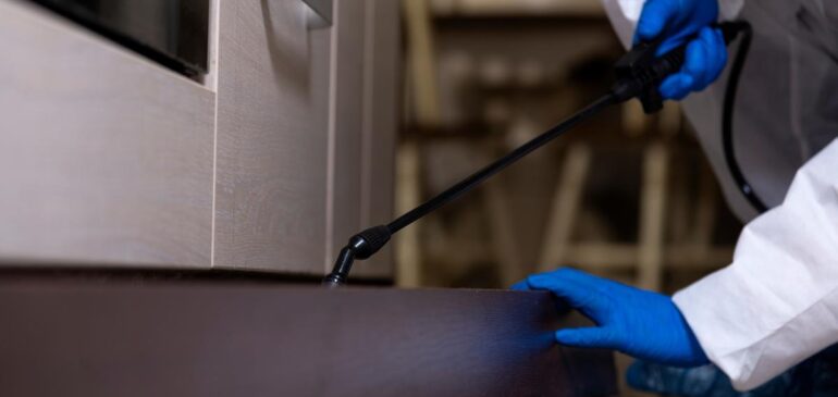 A Comprehensive Guide to Pest Control Termite Treatment