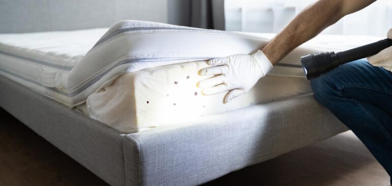 Ultimate Pest Control Solutions: Bed Bug Treatment and Removal