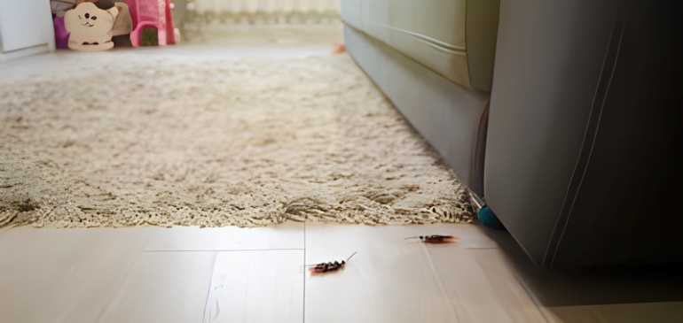 Roach Infestation Solutions: 11 Proven Methods for Your Home