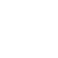 Cockroach Icon