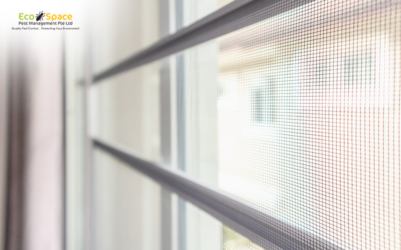 Mosquito net on window for pest prevention.