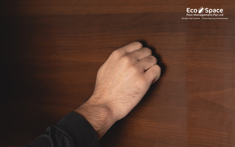 Hand knocking on wood panel wall.