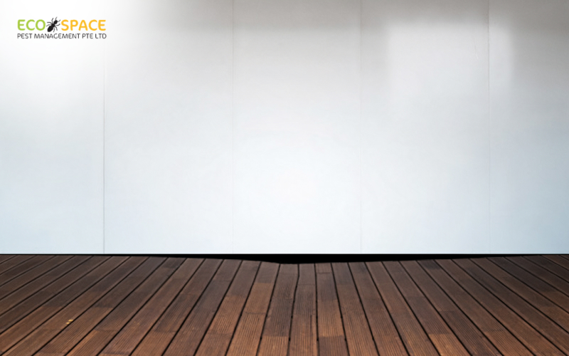 Wood floor sagging below white wall Wood floor sagging below white wall