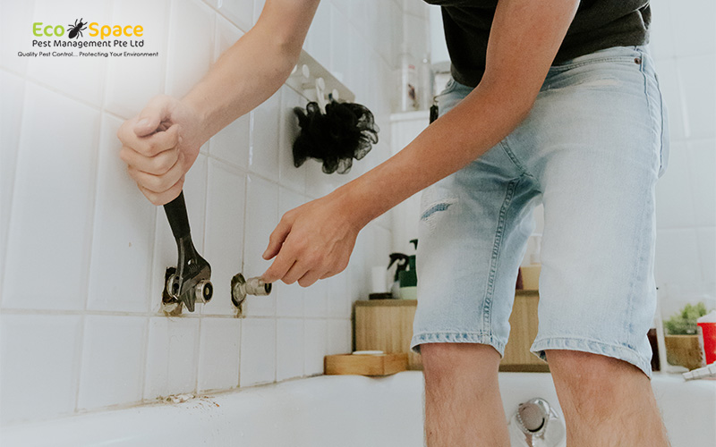 Man repairing a pipe, a common entry point for rats.