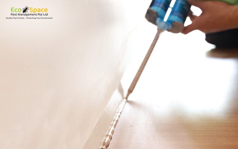 EcoSpace applying sealant for termite prevention.
