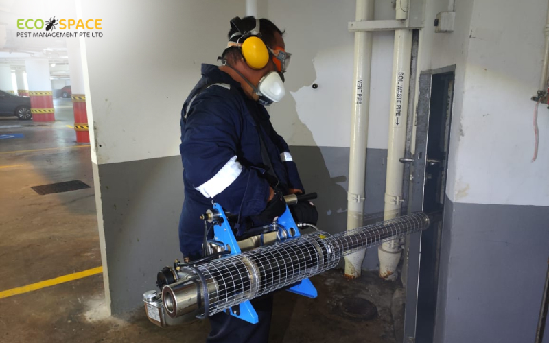 Cockroach bin chute spraying in Singapore
