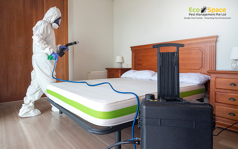 EcoSpace Pest technician performing heat treatment in a bedroom