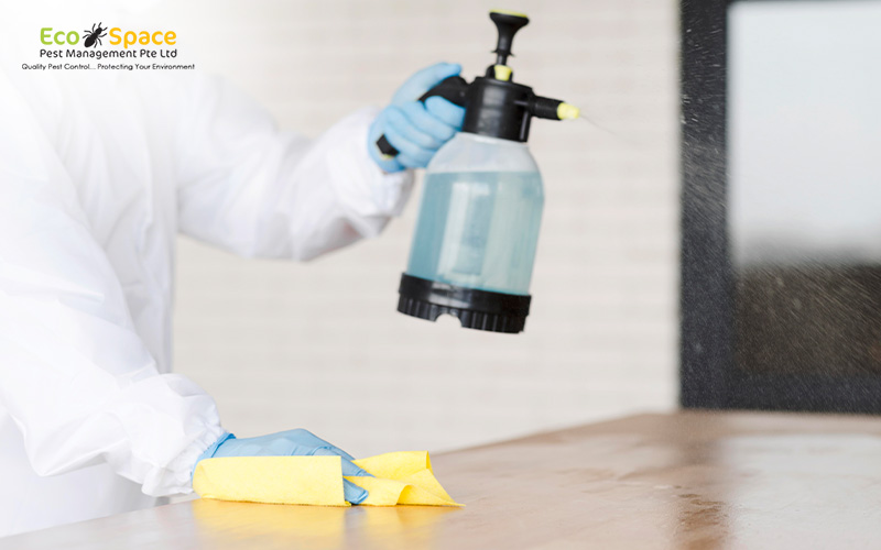 Pest control worker spraying a table with cleaning solution