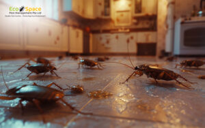Cockroaches infesting a kitchen floor