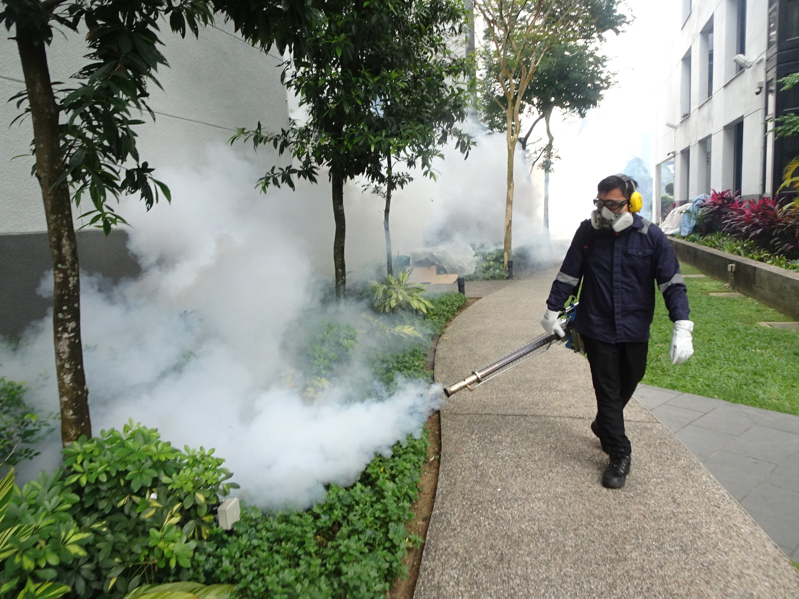 WhatsApp Image 2026 04 01 at 13 30 42