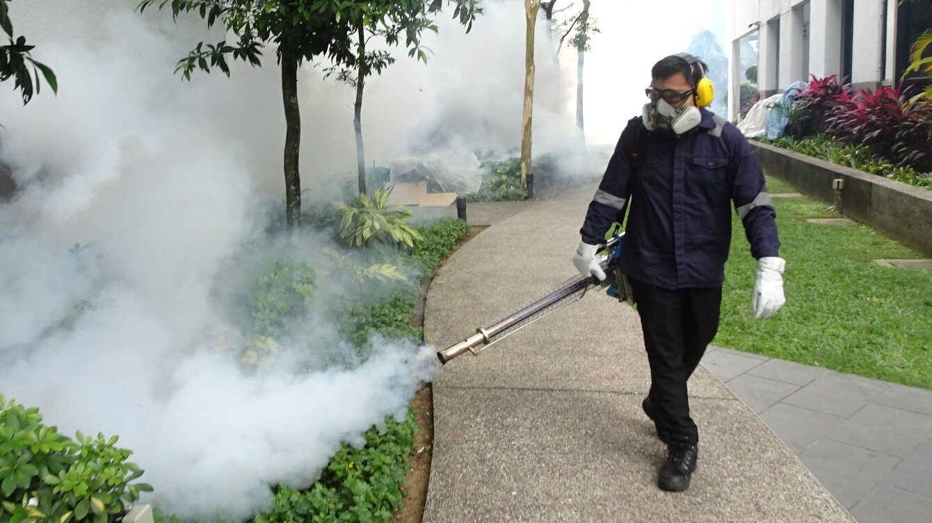 WhatsApp Image 2026 04 01 at 13 30 42