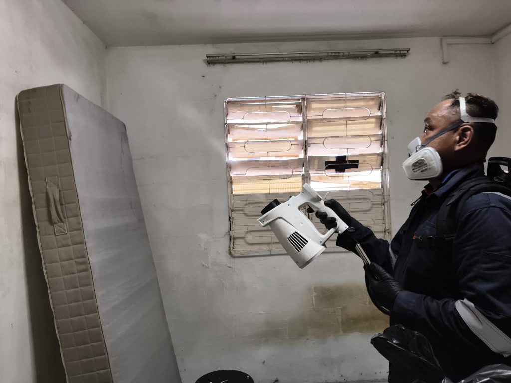 Residual spraying for bed bug control on walls and room surfaces in Singapore