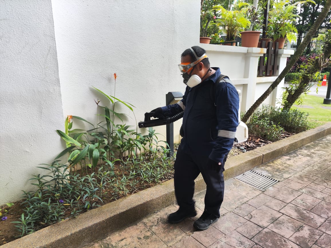 Pest control technician performing outdoor mosquito misting around garden plants