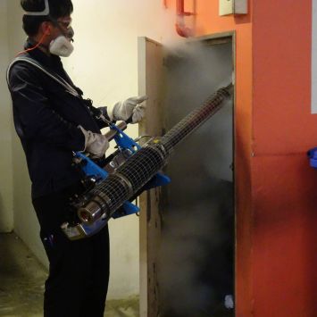 cockroach2 cockroach2