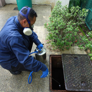 cockroach3 cockroach3