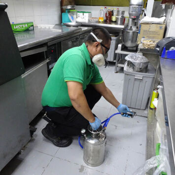 cockroach4 cockroach4