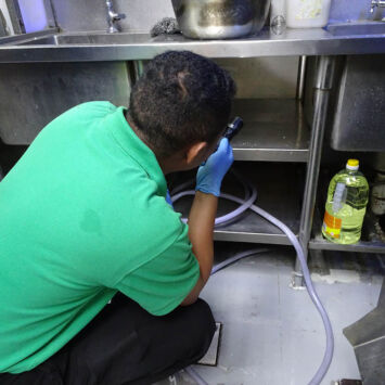 cockroach5 cockroach5