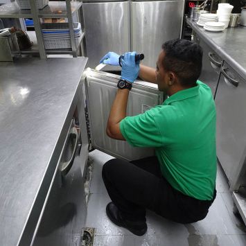 cockroach6 cockroach6