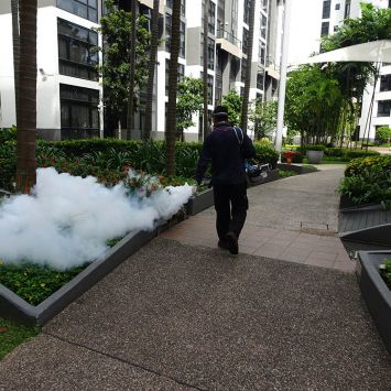 mosquito1 Technician carrying out mosquito fogging Singapore service along residential walkway for mosquito control Singapore