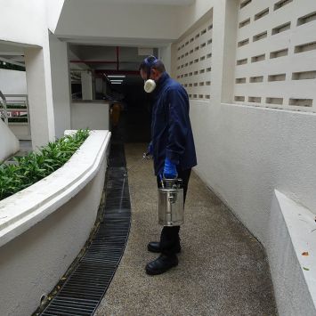 mosquito3 Mosquito control Singapore treatment using handheld fogging equipment in residential common corridor