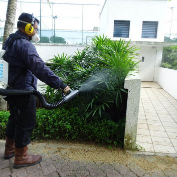 mosquito5 Outdoor mosquito fogging Singapore conducted around greenery to reduce mosquito breeding and improve mosquito control Singapore